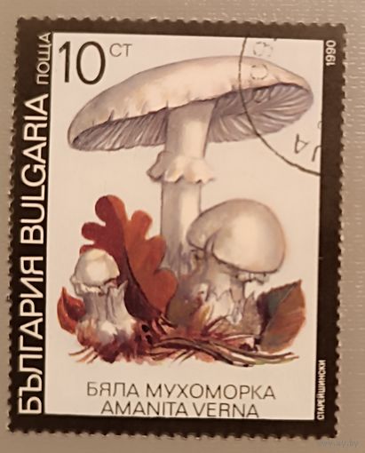 Грибы. Болгария, 1990