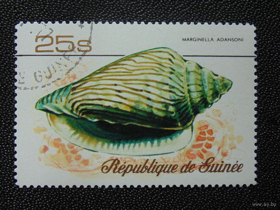 Гвинея 1977 г. Ракушка.