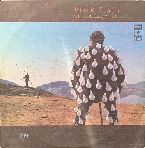 Pink Floyd (2LP) - Delicate Sound Of Thunder