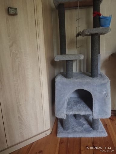 Когтеточка