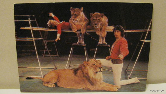 Календарик. Цирк. 1985г.