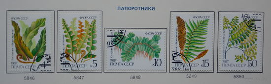 Ссср