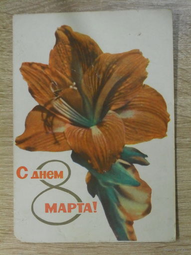 ПОДПИСАННАЯ ОТКРЫТКА . СССР. " С ДНЕМ 8 МАРТА ." фото. А. и М. АНАНЬИНЫХ. 1965 ГОД.