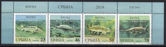 Сербия 2018. Фауна. Рыбы. Сцепка 4 марки (781)