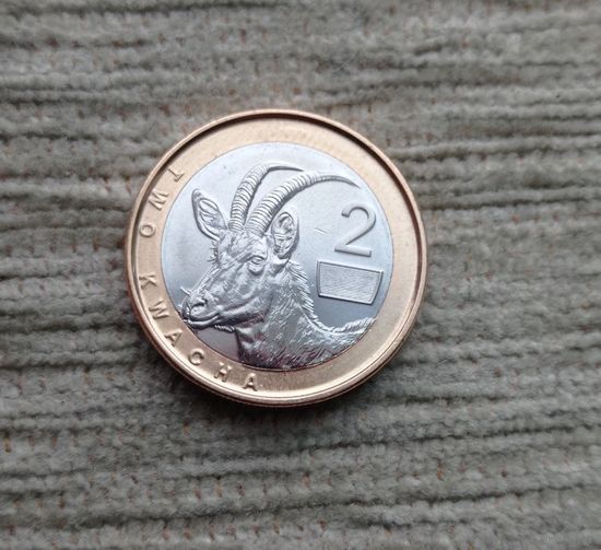 Werty71 Замбия 2 квача 2024