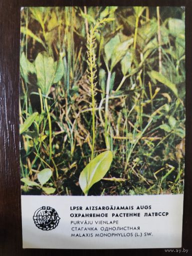 Календарик Прибалтика Стагачка