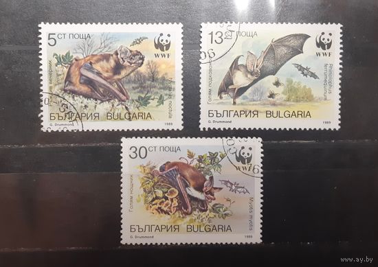 Болгария. 1989 год. Фауна. Летучие мыши (556)