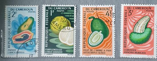 Камерун фрукты 4шт
