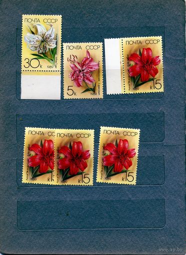 СССР, 1989, ЛИЛИИ**  6м, чистая  по 15 коп шт