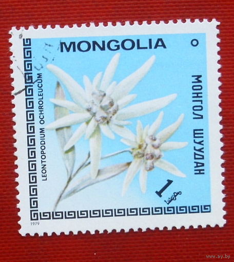 Монголия. Цветы. ( 1 марка ) 1979 года. 10-16.