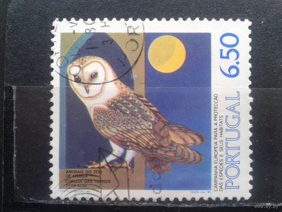 Португалия, 1980. Европейская компания по сохранению видов, сова