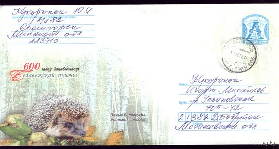 2009 год Ёж
