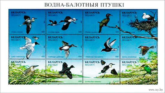 1996 БЕЛАРУСЬ  малый лист коллекционных марок Водно-болотн. птицы   MNH