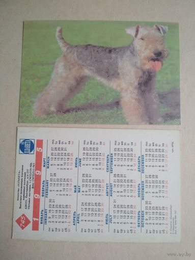 Карманный календарик. Собака . 1995 год