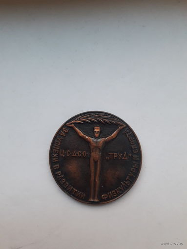 Медаль ЦС ДСО Труд За успехи в развитии физкультуры спорт 45 мм