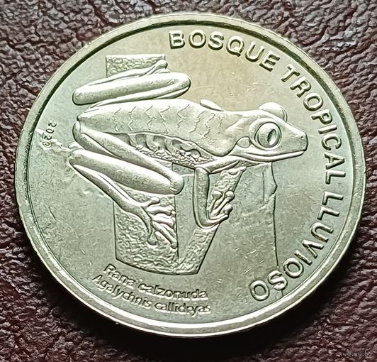 Коста-Рика 50 колонов, 2023  Красноглазая квакша   ( 2-8-4 )