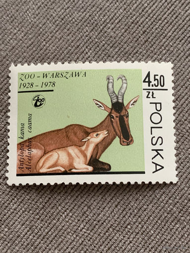 Польша 1978. Антилопа Кама. Марка из серии