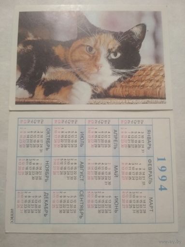 Карманный календарик. Котик.1994 год