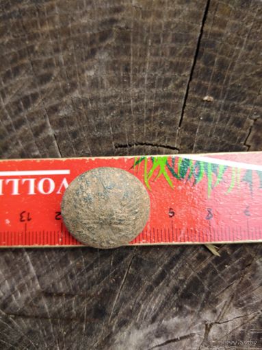 Орлик. Польша (7). находка