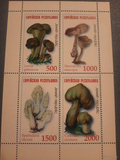 Россия. Еврейская республика. Грибы. Малый лист