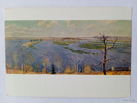 1958. Звиноградский. Сож. Большая вода