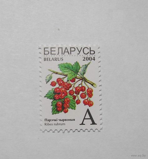 Стандарт. Парэчка "А". 1м. 2004г.