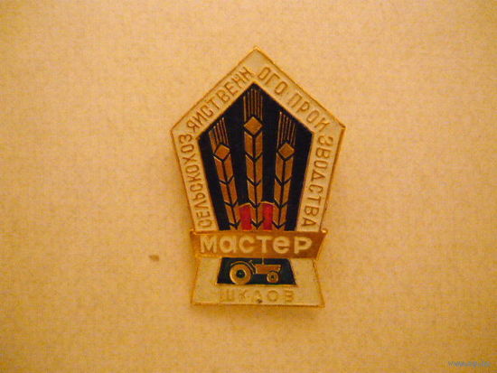 Мастер сельскохозяйственного производства,Шклов.