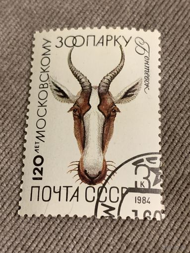 СССР 1984. 120 лет Московскому зоопарку. Бонтебок. Марка из серии