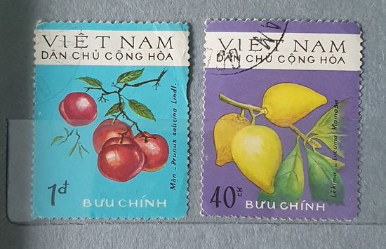 Вьетнам фрукты 2шт