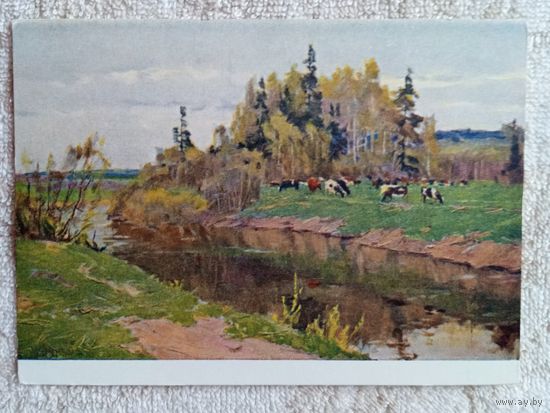 1959. Сухов. Зазеленело