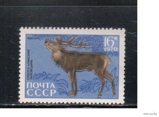 СССР-1970, (Заг. 3839)  **  , Фауна, Заповедник, Олень