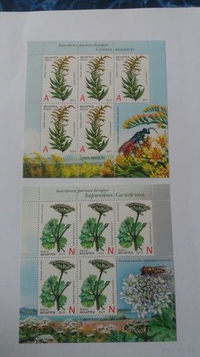 РБ 2014  цветы 2листа