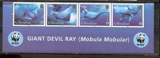 ФФ2 Гибралтар 2006 Скаты