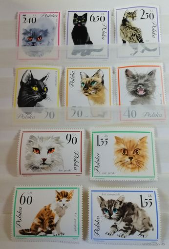 Польша 1964 Кошк