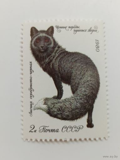 1980 СССР. Пушные звери. Лисица серебристо-черная.