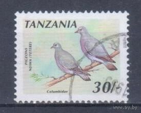 [1534] Танзания 1991. Фауна.Птицы.Голуби. Гашеная марка.
