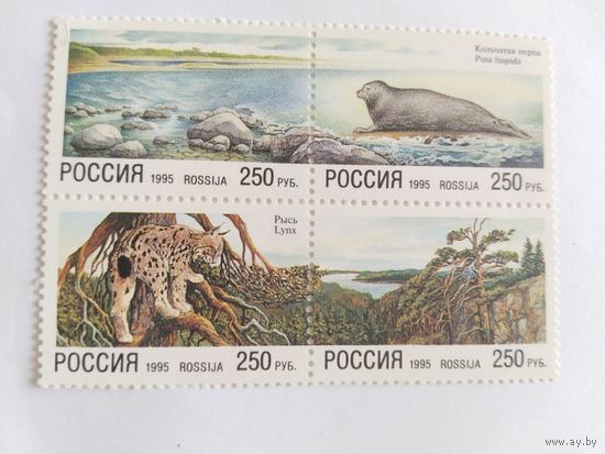 Россия  1995  кв/бл.