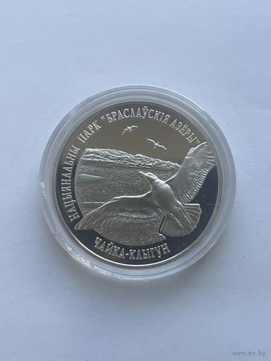 НАЦЫЯНАЛЬНЫ ПАРК "БРАСЛАЎСКІЯ АЗЁРЫ" ЧАЙКА КЛЫГУН