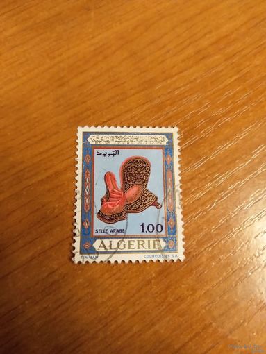 Алжир искусство культура (4-14)