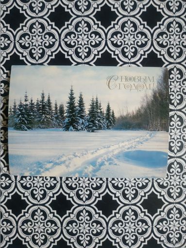 Открытка СССР 1983 год. Чистая. Н.Самсоненко. Состояние на скане.