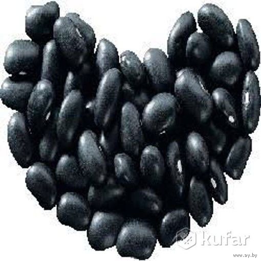 Семена черной кустовой фасоли Прето 100 штук