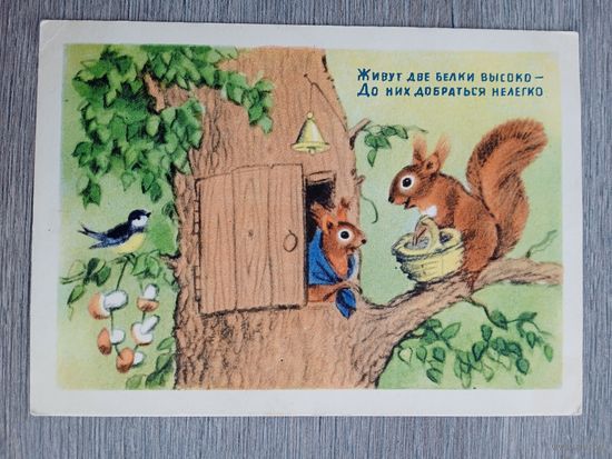 1954. Ушакова. Живут две белки высоко...