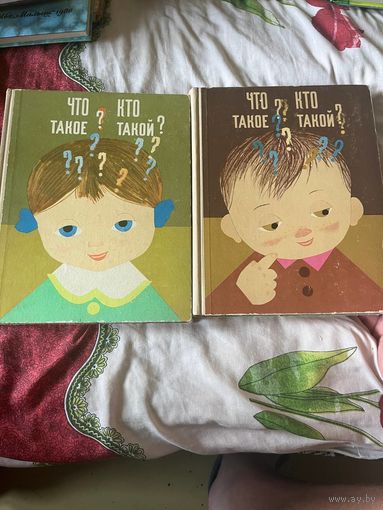 Детская  энциклопедия в 2 томах Что такое  Кто такой