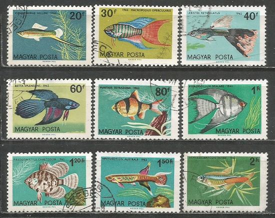 Венгрия. Тропические рыбы. 1962г. Mi#1820-29. Серия.