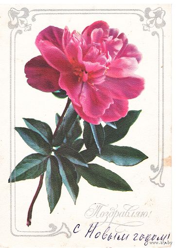 Почтовая карточка СССР 1977, подписана. Худ. Л. Кулиева