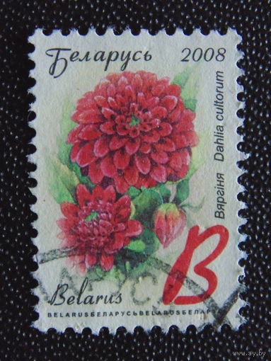 Беларусь 2008 г. Стандарт.