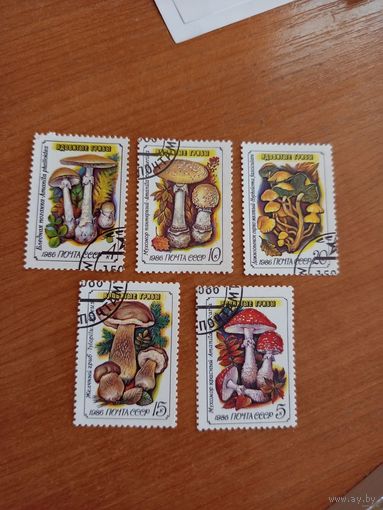 1986 СССР флора грибы клей MNH** (4-1)
