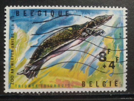 Бельгия 1965 Черепаха, марка из блока