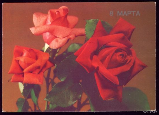 1989 год Б.Круцко 8 марта чист
