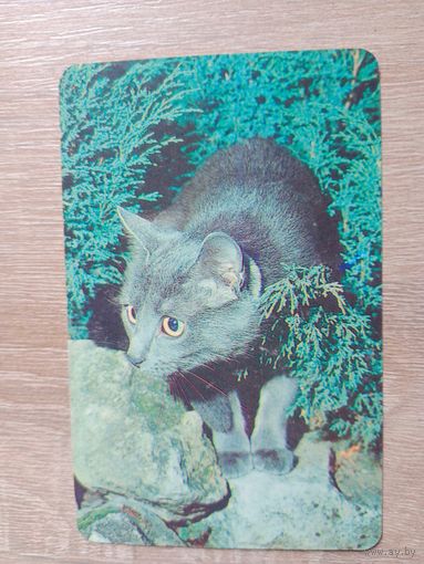 Календарик 1992